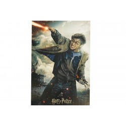 300pz. - 3D Puzzle: Harry...