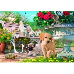 260pz. - Steve Read:...