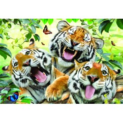 260pz. - Howard Robinson:...