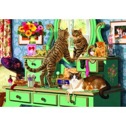 260pz. - Steve Read:...