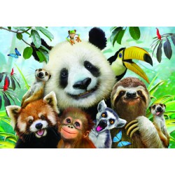 500pz. - Howard Robinson:...