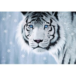 500pz. - Jon Rattenbury:...