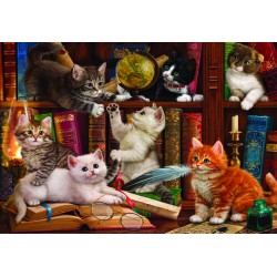 500pz. - Image World:...