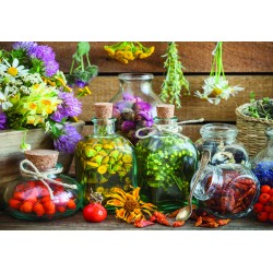 500pz. - Anónimo: Terapia...