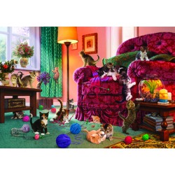 500pz. - Steve Read:...