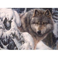 1000pz. - El Jefe del Norte