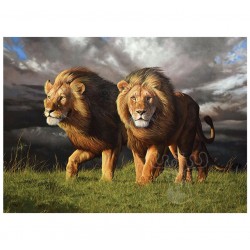 1000pz. - Leones en la...