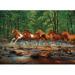 1000pz. - Corriendo por el...