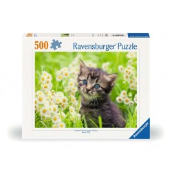 500pz. - Gatito en la Pradera