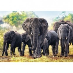 1000pz. - Elefantes Africanos